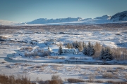 Thingvellir church