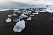 Ice on Black (Jökulsárlon)