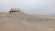 Birth of a dune