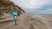 Amrum Odde nature reserve