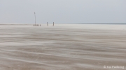 Windy day at Kniepsand