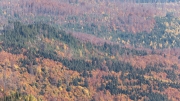Bavarian Forest autumn