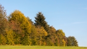 Bavarian Forest autumn