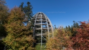 Treetop Walk Bavarian Forest