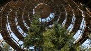 Treetop Walk Bavarian Forest