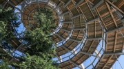 Treetop Walk Bavarian Forest