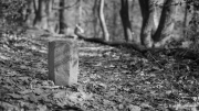 Historic Path Marking
