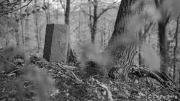 Historic Path Marking