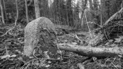 Border Stone between Cronenberg and Elberfeld