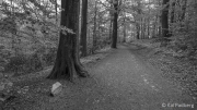 To Cleffkotten and Küllenhahn