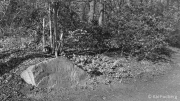 Königshöhe A.v.d.H 1879
