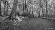 Municipal Forest Installation Kiesberg