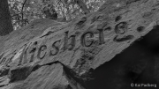 Municipal Forest Installation Kiesberg