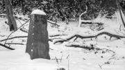 Obelisk - Selma plantation, implemented 1880