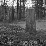 Obelisk - Frhr. A.v.d.H.