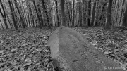 Cäcilie Rüsche Way, opera singer in Elberfeld 1904 to 1905