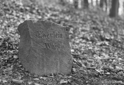 Eberlein Way