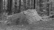 Königshöhe - you can't miss it
