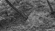 To Hoffnung and Friedrichsberg