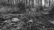 Dismantled... To Hoffnung and Friedrichsberg