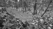 To Ossenbeck and Friedrichsberg
