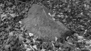 To Ossenbeck and Friedrichsberg