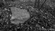 Excavated... To Ossenbeck and Friedrichsberg