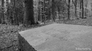 Zoo - side entrance