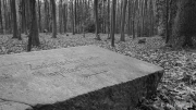 Zoo - main entrance
