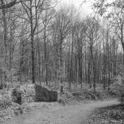 August von der Heydt memorial