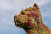 Puppy (Jeff Koons)