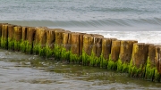 Coastal preservation