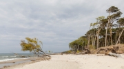 Exposed to the Baltic - Darß, western coast