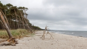 Exposed to the Baltic - Darß, western coast