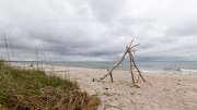 Exposed to the Baltic - Darß, western coast