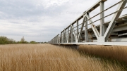"Reed bridge" - Meiningen bridge, Barth side