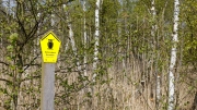 Access denied, forest on Zingst
