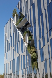 Urban Gardening