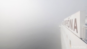 Fog navigation