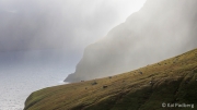 Here comes the rain (Kalsoy)