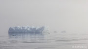 Fog cruising - Sermilik Fjord („The one with the glaciers“)
