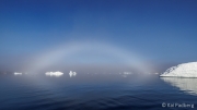 Fog bow over Sermilik Fjord („The one with the glaciers“)