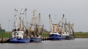Shrimpers, Greetsiel harbour