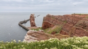 Ideal breeding area - "Lange Anna" ("Tall Anna") sea stack
