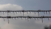 Icy wire - barbed wire
