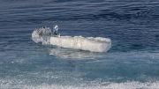Drifter (Jökulsárlon)