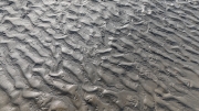 Tideland ripple