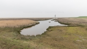 Neuwerk salt marsh and eastern sea mark