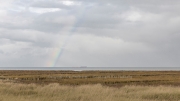 After the rain - salt marsh breakwater
