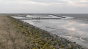 Salt marsh breakwater